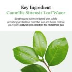 DR ALTHEA GREEN TEA FRESH SUNSCREEN SPF 50+ 45ML – Image 3