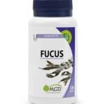 Mgd Nature Fucus – 120 Gélules
