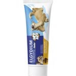 Elgydium Kids – Dentifrice l’Âge de Glace Tutti Frutti 7-12 Ans