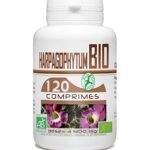 Gph Diffusion Harpagophytum Bio – 120 Comprimes