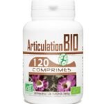 Gph Diffusion Articulation Bio – 120 Comprimés
