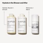 OLAPLEX N5 LEAVE-IN CONDITIONER HYDRATANT ET REPERATEUR 100ML – Image 4