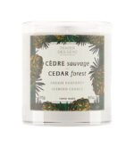 PANIER DES SENS Bougie parfumée Cèdre Sauvage 275G – Image 2