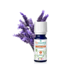 Huile Essentielle Lavande Vraie BIO