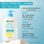 GARNIER FAST CLEAR GENTEL CLEANSER 250ML – Image 3