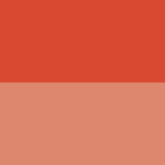 ABSOLUTE NEW YORK CHEEKY BLOOM BLUSH FLUSHED POPPY 01 – Image 3