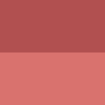 ABSOLUTE NEW YORK CHEEKY BLOOM BLUSH SOFT HIBISCUS 02 – Image 3