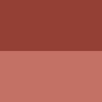 ABSOLUTE NEW YORK CHEEKY BLOOM BLUSH RUSTIC CARNATION 05 – Image 3