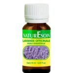 NaturEsoin Huile Essentielle de Lavande – 10 ml