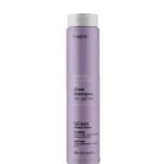 Erayba Abh Silver Shampooing No Yellow 250ml