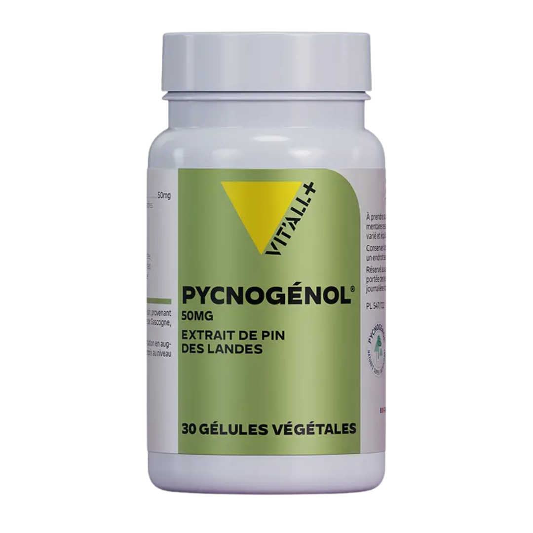 VITALL-Pycnogenol-30gelules.png VIT’ALL+ Pycnogenol 30 Gelules – Image 1