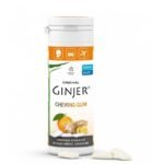 GINJER CHEWING-GUM GINGEMBRE ORANGE 30 G